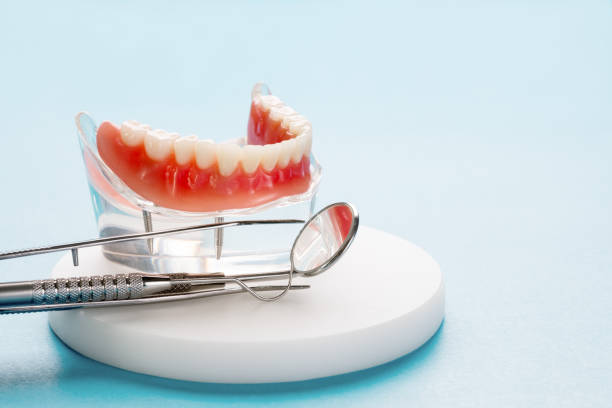 Reliable Palmyra, IN Holistic Dental Care Services Solutions